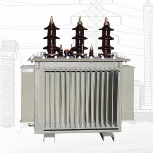 ტრანსფორმატორი 10/0.4 250Kva DNY11 (99628)